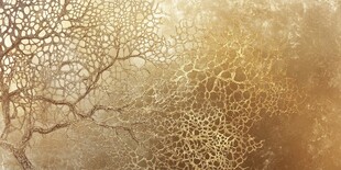 金色网状纹理抽象背景图