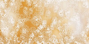 梦幻金色蕾丝花纹背景图