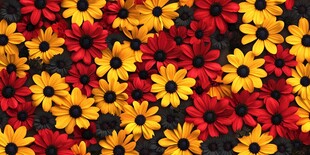 红黄花朵绚丽图案背景