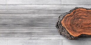 木之切片 展现自然纹理