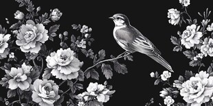 花鸟黑白插画 雅致意境