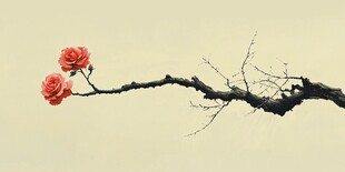 孤枝双花绽 尽显自然美