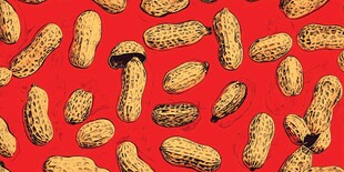 红底花生图案