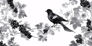 黑白花鸟图 鹊栖葡萄藤