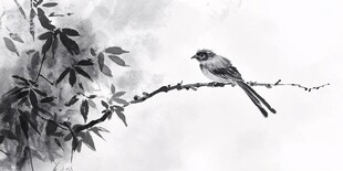 水墨枝头鸟