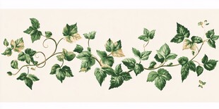 常春藤植物图案精美插画