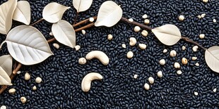 黑米腰果与叶片的静物组合