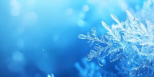 梦幻蓝调雪花微距特写