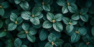 翠绿叶片与小花的自然美