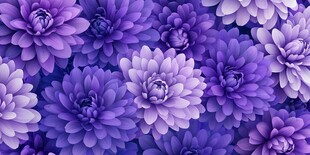 紫色菊花花卉无缝图案背景