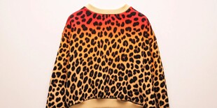 豹纹渐变时尚长袖上衣