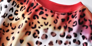 豹纹时尚上衣局部特写
