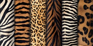 多样动物纹理皮革展示