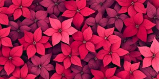 艳丽一品红花卉图案背景