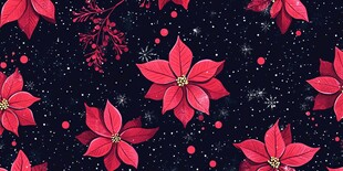 圣诞红花朵星空图案背景