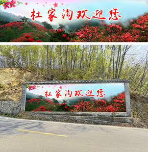 映山红墙绘杜鹃花