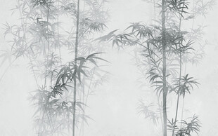 水墨竹影