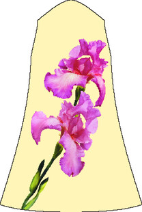 粉色唐菖蒲花朵 手绘花