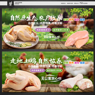 鸡肉