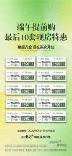 端午提前购特惠一口价现房海报