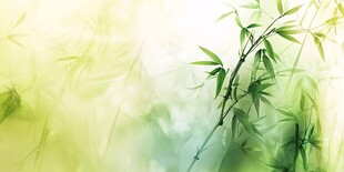 清新翠竹背景图