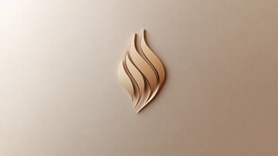 金属质感火焰形状图标