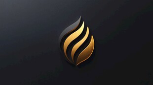黑金火焰创意标志设计