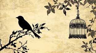 笼外飞鸟与复古鸟笼