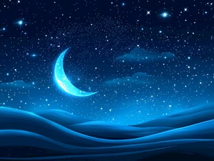梦幻月夜下的静谧原野