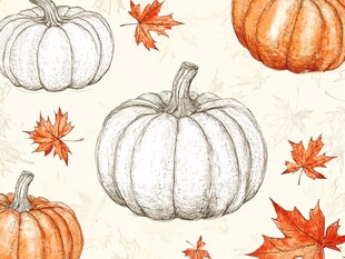 南瓜枫叶秋季手绘图案