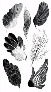 黑白羽翼插画素材集合