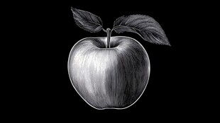 素描苹果图