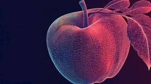 炫彩风格苹果插画