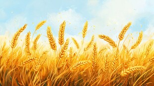 金色麦田 田园诗意风景