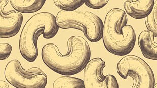 手绘腰果图案背景纹理