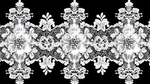 黑白花卉蕾丝花边图案
