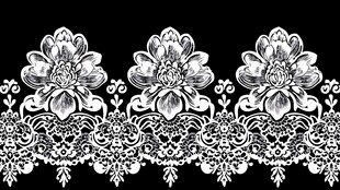 黑白花卉蕾丝图案设计