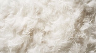 柔软白色毛绒面料特写