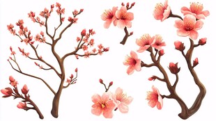 粉色桃花枝插画素材
