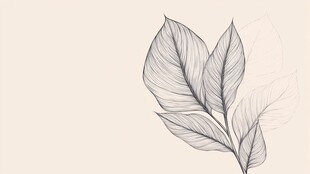 手绘简约叶片插画