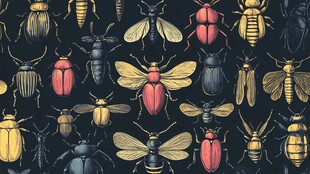 多彩昆虫图案背景设计
