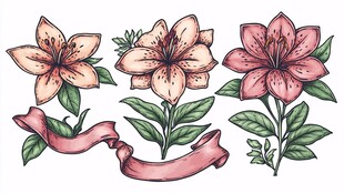 手绘粉色百合花与丝带图案