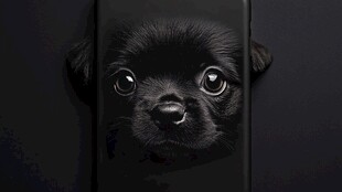 萌趣小黑狗手机壳图案