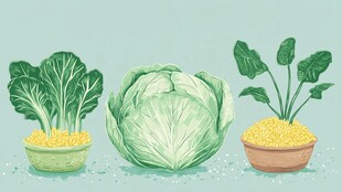 新鲜蔬菜与玉米粒的组合