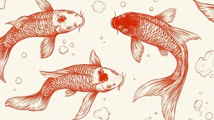 手绘红锦鲤水中悠游图