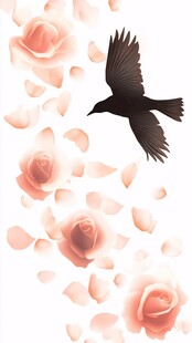 飞鸟伴玫瑰花瓣共舞