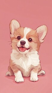 可爱小柯基的萌趣瞬间