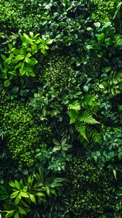 生机盎然的绿色植物墙
