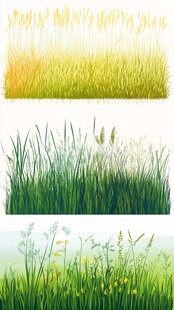 三组清新草地植物插画