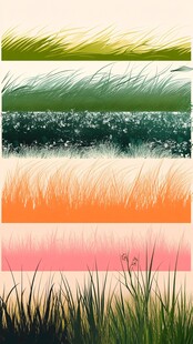 多彩草景集合